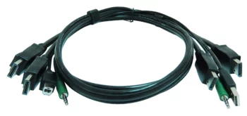 SK2DPMMKVM06